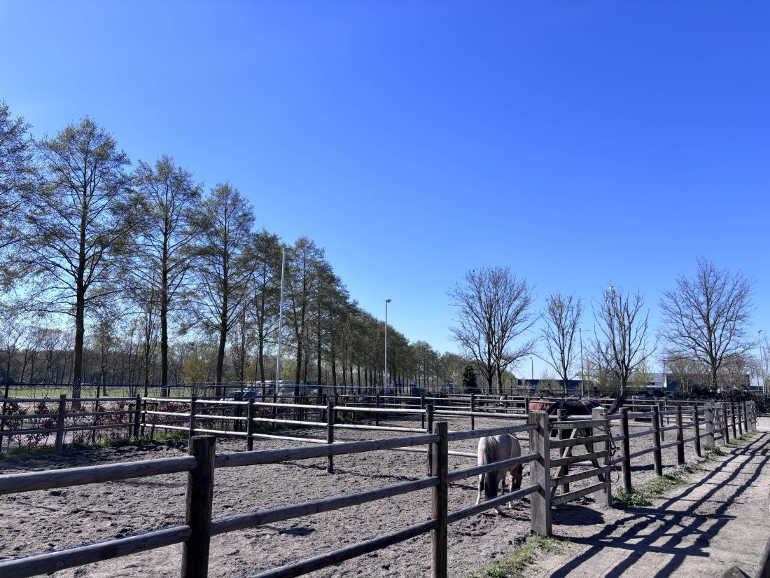 buitenpaddocks